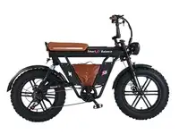 Электровелосипед smartbalance diplomat (2025)
