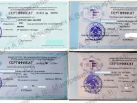 Репетитор по физике и математике в Мозыре в районе СШ 16, фотография 4
