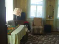 Срочно , о цене договоримся, фотография 4