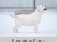 Продаю, фотография 2