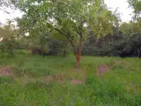 Продаю дом, фотография 6