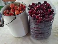 Срочно продам дачу!, фотография 3