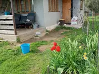 Продам дом для жизни, отдыха, рыбалки в 30 км от Борисова.