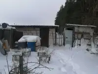 Продается дом 65  готовности с участком 15 соток. На участке свет , вода  скважина  . Рядом лес ,, фотография 7