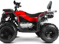 Квадроцикл Progasi RaceJumper 200 (к-т з/ч), фотография 6