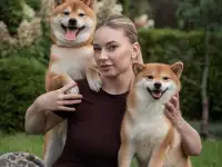 Щенки Сиба Ину