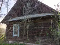 Дом в д. Громницы, фотография 12