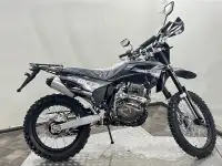 Мотоцикл Regulmoto Sport-003 PR 300, фотография 11