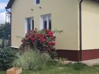 Ищу работу, фотография 4