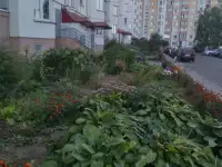 Сдаю 1-комн. квартиру на длительный срок, фотография 11