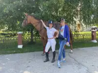 Обучение верховой езде, фотография 7