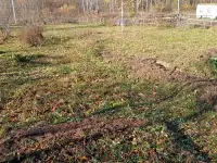 Срочно участок 8 сот в ст Ручеек 18 км от МКАД, фотография 3
