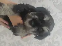Продажа и бронирование