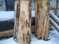 колода, фотография 2