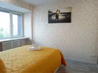 Квартира с хорошим ремонтом. Документы командированным.