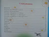 Вкусная сказка из бисквита. Выпекаем Белоснежку, фотография 4