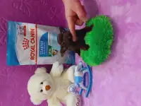 Мини чихуахуа, фотография 8
