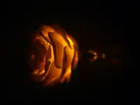 Светильники из изолона, фотография 8