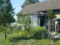Дом для жизни, Гродненская область, Кореличский район, Оюцевичи, фотография 8