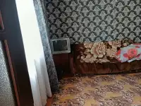 Аренда дома в Лельчицах,, фотография 2