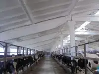 Покраска и побелка механизированным способом., фотография 2