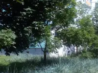 Квартира в санаторно-курортной зоне Лепельского района, фотография 12