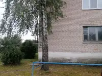 Продам квартиру, Минская обл, Любанский р-н д Доросино, фотография 3