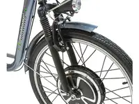 Электровелосипед трицикл e-motions kangoo-ru 500w, фотография 4