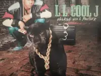 Виниловые пластинки Hip Hop, фотография 3