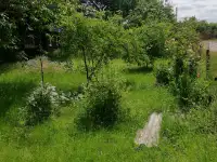 Продажа дачного участка с домом,, фотография 7