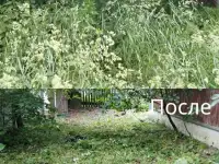 Покос травы/бурьяна/кустов Волковыск и пригород, фотография 4
