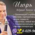 Веселый поющий ведущий, фотография 3