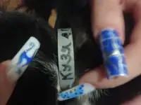 Нашли котенка, фотография 2