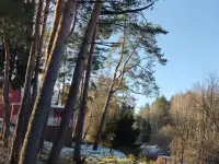 Дом на сутки, часы, недели, фотография 12