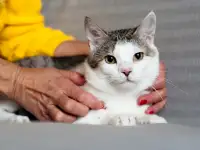 Тени – лучший друг для человека!, фотография 2