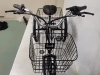 Трехколесный электровелосипед shtenli trike 31, фотография 11