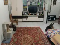 Продаю 2х комнатную квартиру, фотография 7
