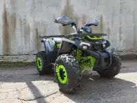 Квадроцикл Motoland Wild X 125cc, фотография 2