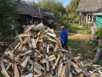 Дрова колотые берёзовые, фотография 10