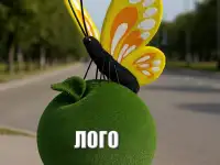 Топиарий Бабочка на яблоке  эксклюзив в Минске!