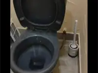 Клининговые услуги. Химчистка автомобилей., фотография 3