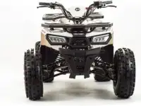 Квадроцикл ATV Motoland Wild 125 без ПТС (к-т з/ч), фотография 11