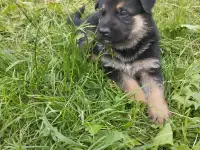 Продаю, фотография 7