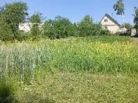 дача в деревне, д,ставры оршанского района         ул,путятина д,62, фотография 8