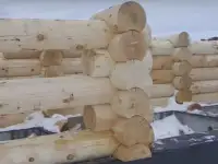 Срубы. Дома. Бани и любые строения под ваш проект, фотография 3