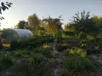 Продается деревянный дом с участком в д. Высокий Полк, Светлогорский р-н, Гомельская область, фотография 6