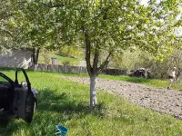 Дача в добрые руки, Ивановская роща, за ж/д путями., фотография 3