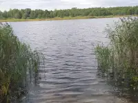 Продам дачу, Полоцкий район СТ 