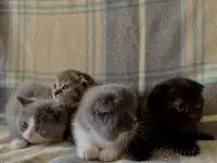 З, фотография 5