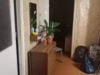 Продается  дом .Брестская обл.Пинский район .Агрогородок  Молотковичи, фотография 9